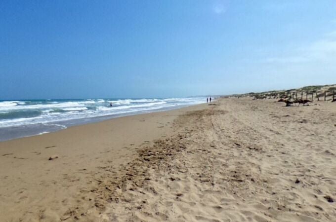 Playa del Montcaio, en Guardamar del Segura (Alicante)