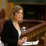 La diputada del PP por Palencia, Milagros Marcos, interviene en el Congreso