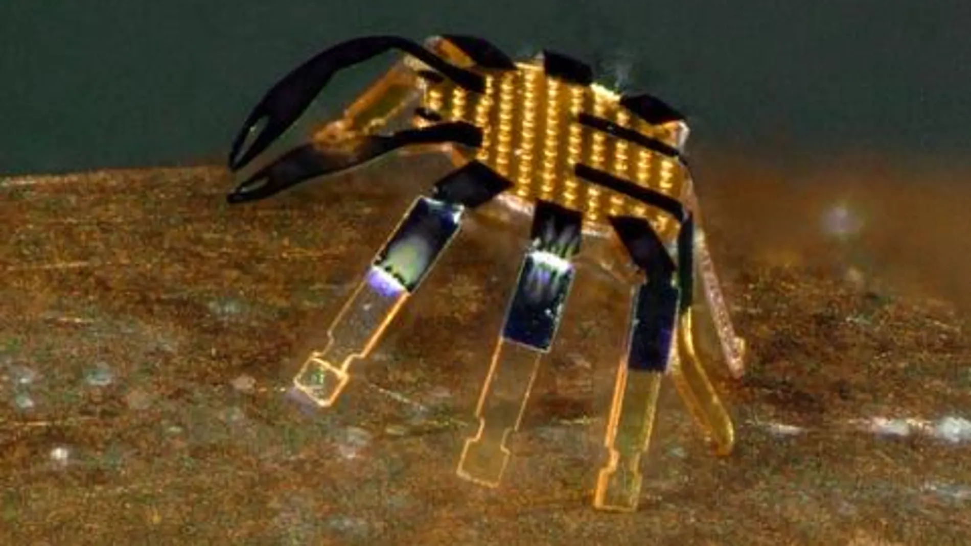 Cangrejo, el robot más pequeño del mundo