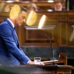 El presidente del Gobierno, Pedro Sánchez, comparece en el Congreso de los Diputados