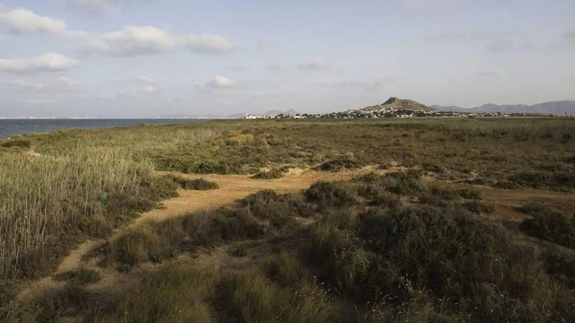 Humedal El Carmolí, en el Mar Menor