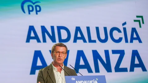 El presidente del Partido Popular, Alberto Núñez Feijóo, en Sevilla.Eduardo Briones / Europa Press