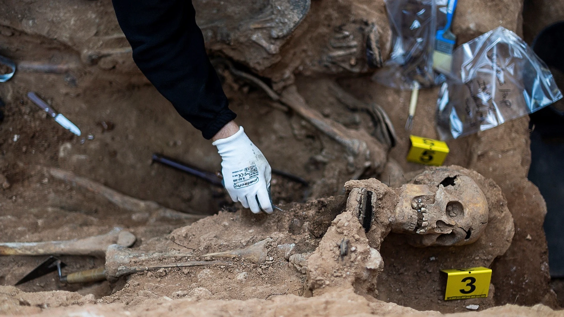 Trabajos de exhumación en la fosa del cementerio civil de Guadalajara, la pasada primavera