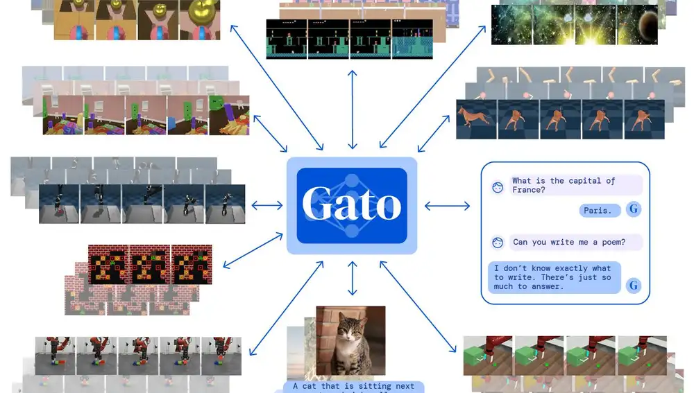 Algunas de las tareas que Gato puede realizar en entornos reales y simulados.