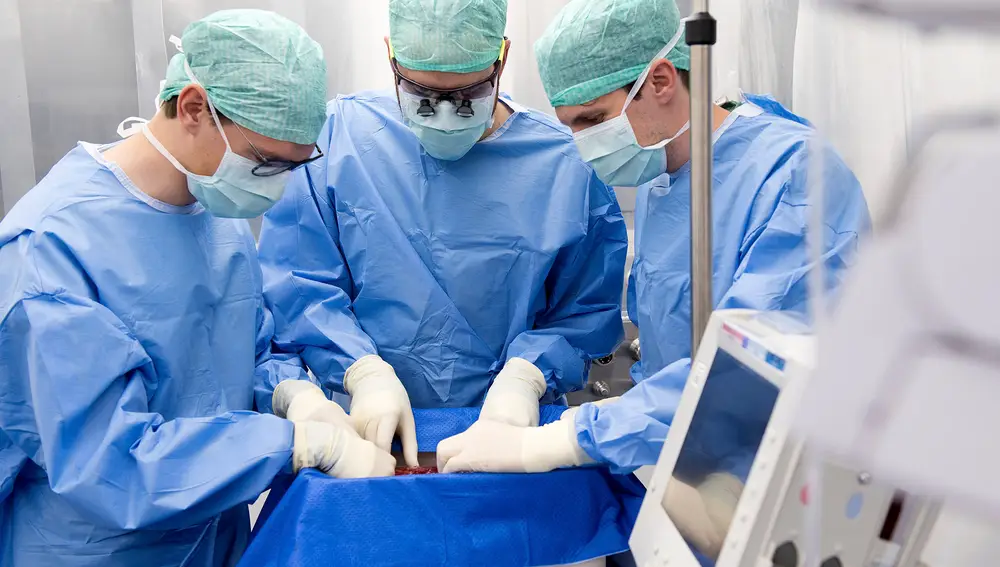 Un equipo sanitario realiza un trasplante