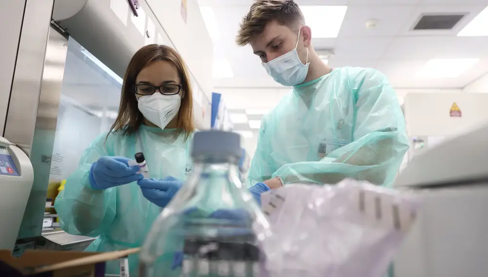 Varios técnicos de laboratorio trabaja con pruebas PCR en el Laboratorio de Microbiología del Hospital público Gregorio Marañón, a 31 de mayo de 2022, en Madrid (España)
