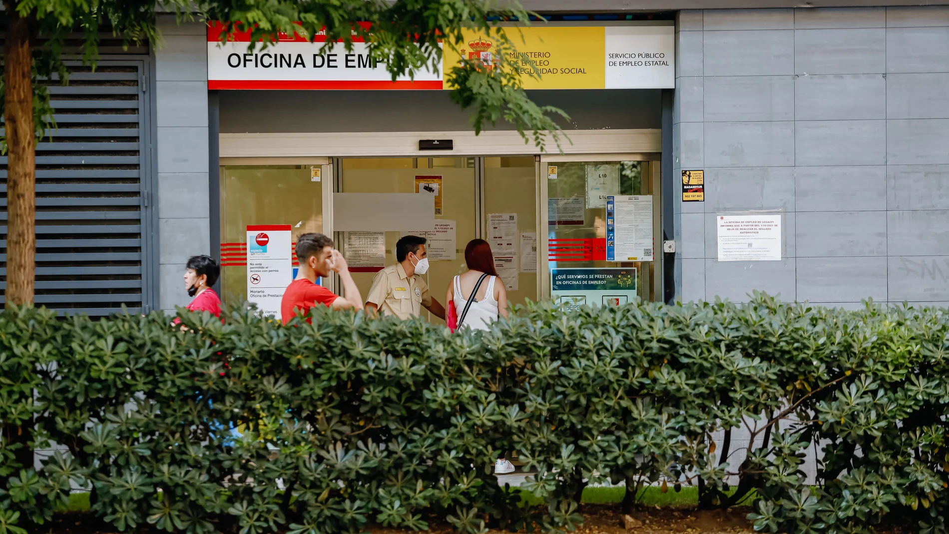 La creación de empleo entre los menores de 25 años durante el primer semestre del año creció un 20% en Andalucía