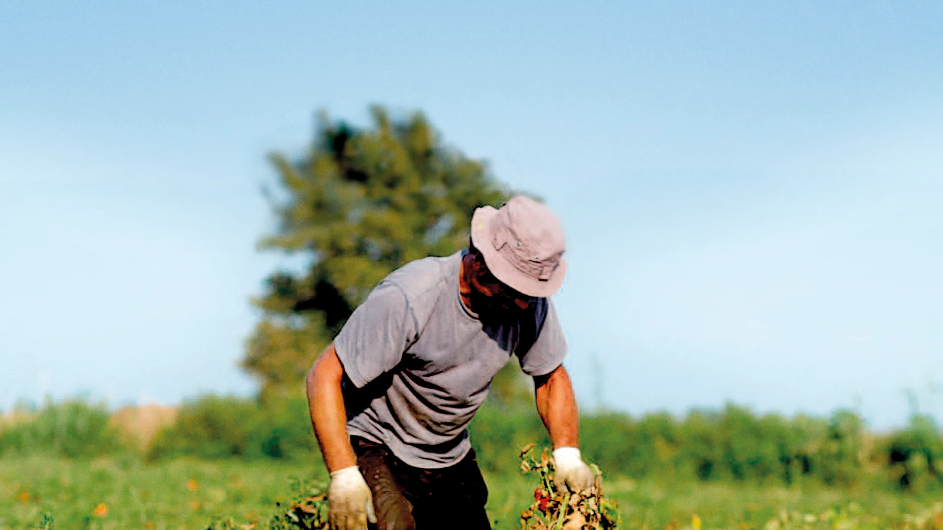 Unilever lleva a cabo programas de agricultura sostenible, claves para frenar el cambio climático y mejorar la calidad de vida