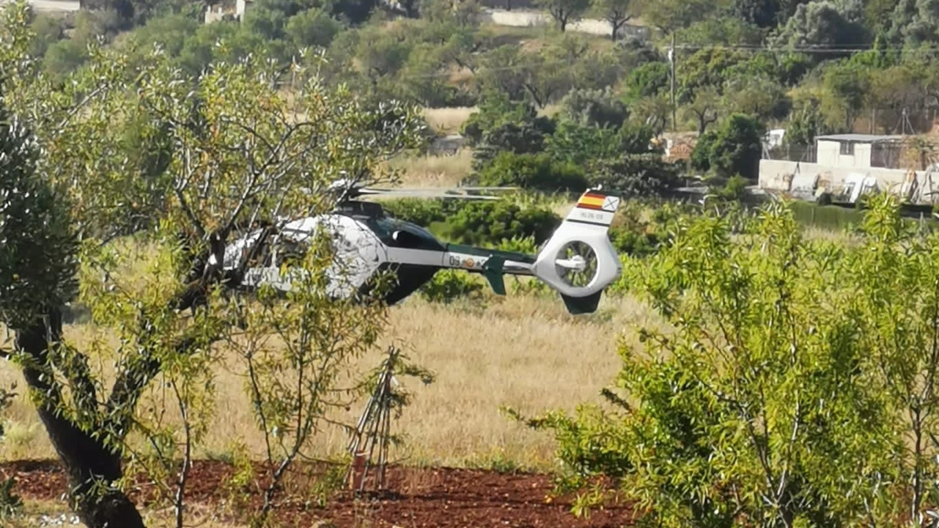 Imagen de uno de los controles en el campo realizado por un helicóptero