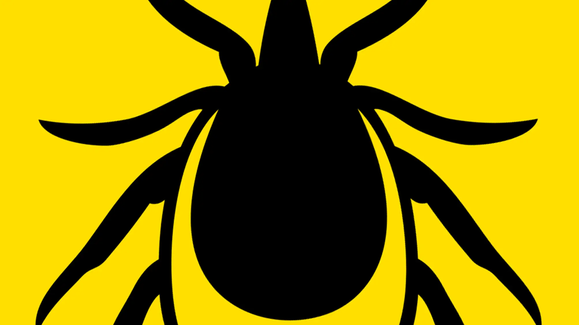 Lyme, garrapata