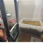 Un aspecto del taller en el que se fabricaban las "narcochuches"