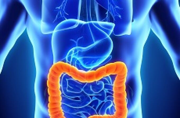 El cáncer colorrectal es el tumor maligno más frecuente en España y el segundo en tasa de mortalidad 