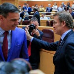 El presidente del Gobierno, Pedro Sánchez, y el líder del PP, Alberto Nuñez Feijóo, se saludan durante la sesión de control en el Senado