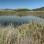  Santander dona terreno para recuperar la zona húmeda del Estany des Pont en Alcudia