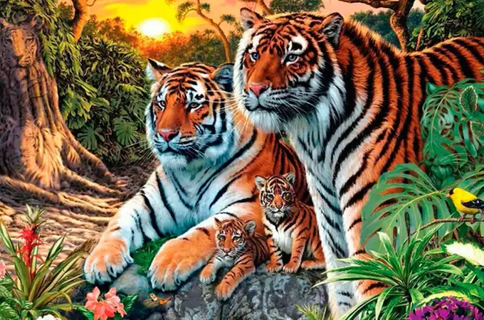 ¿Cuántos tigres hay en la imagen? El desafío visual que nadie ha logrado resolver