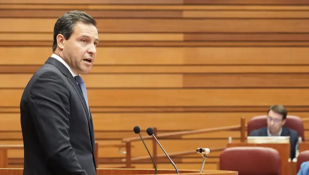 El portavoz del PP en las Cortes, Raúl de la Hoz, interviene en el hemiciclo