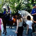 Varias estudiantes tocan a uno de los caballos de un policía tras finalizar las pruebas de la EvAU