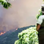 Incendio forestal de Pujerra