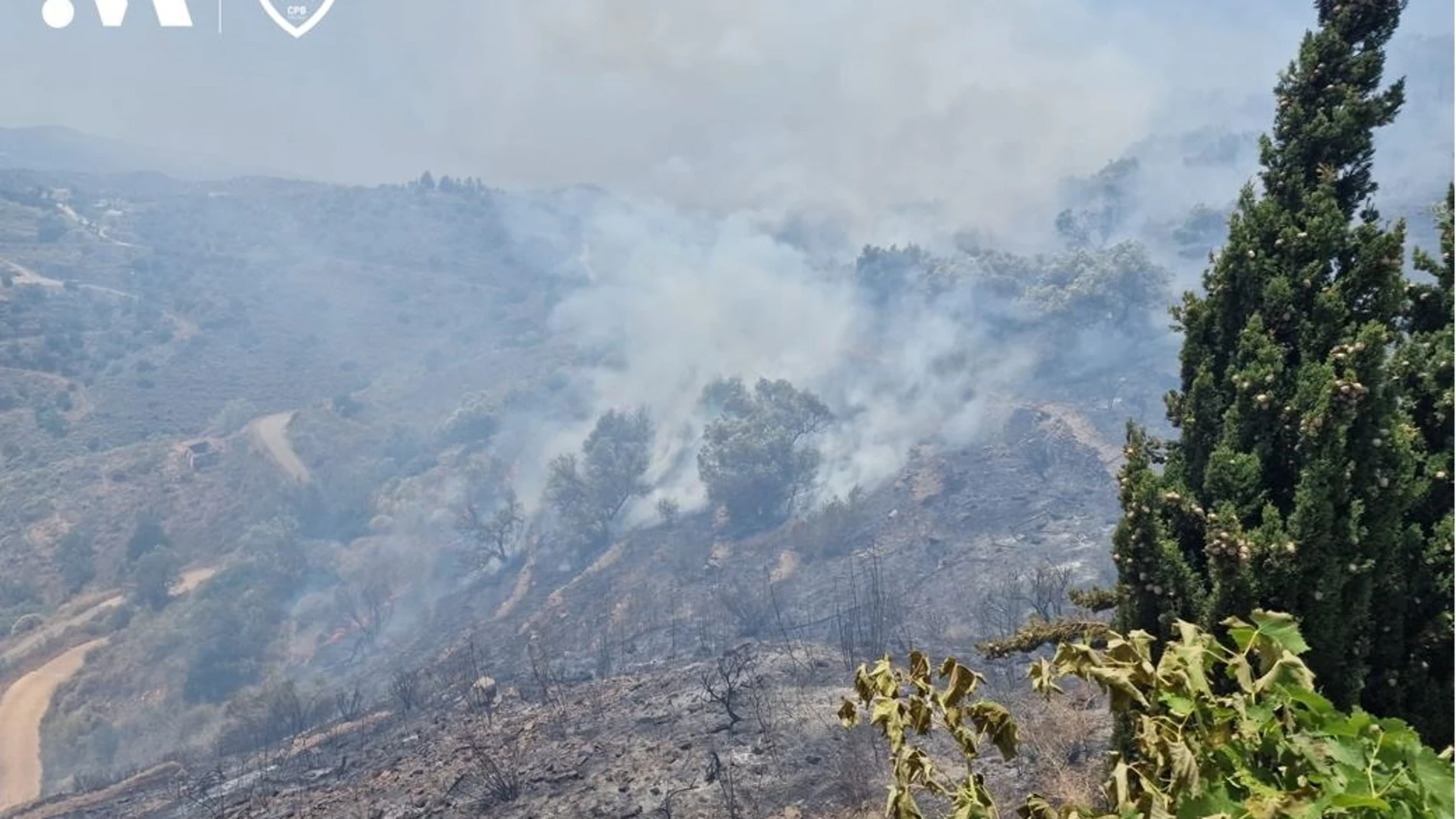 Imagen del incendio forestal en el término municipal de Torrox. CPB MÁLAGA