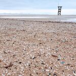 Pellets en una playa de Tarragona