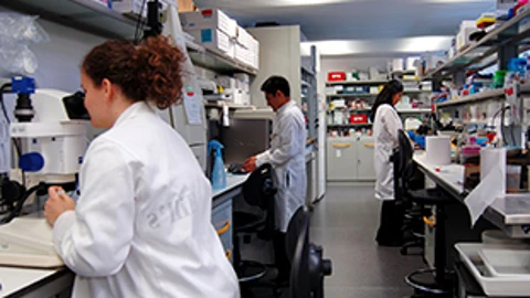 Grupo de investigadores de la Universidad de Salamanca
