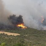 Los Bomberos de la Generalitat trabajan en la extinción de ocho incendios, aunque son dos los de mayor magnitud, el de Artesa de Segre (Lleida), que ya afecta a unas 500 hectáreas de vegetación, y el de Corbera d'Ebre (Tarragona), donde se trabaja en un área de 200 hectáreas.