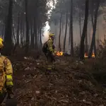  Más de 220 profesionales trabajan en la extinción de los incendios de la Sierra de la Culebra, que ha arrasado ya 900 hectáreas