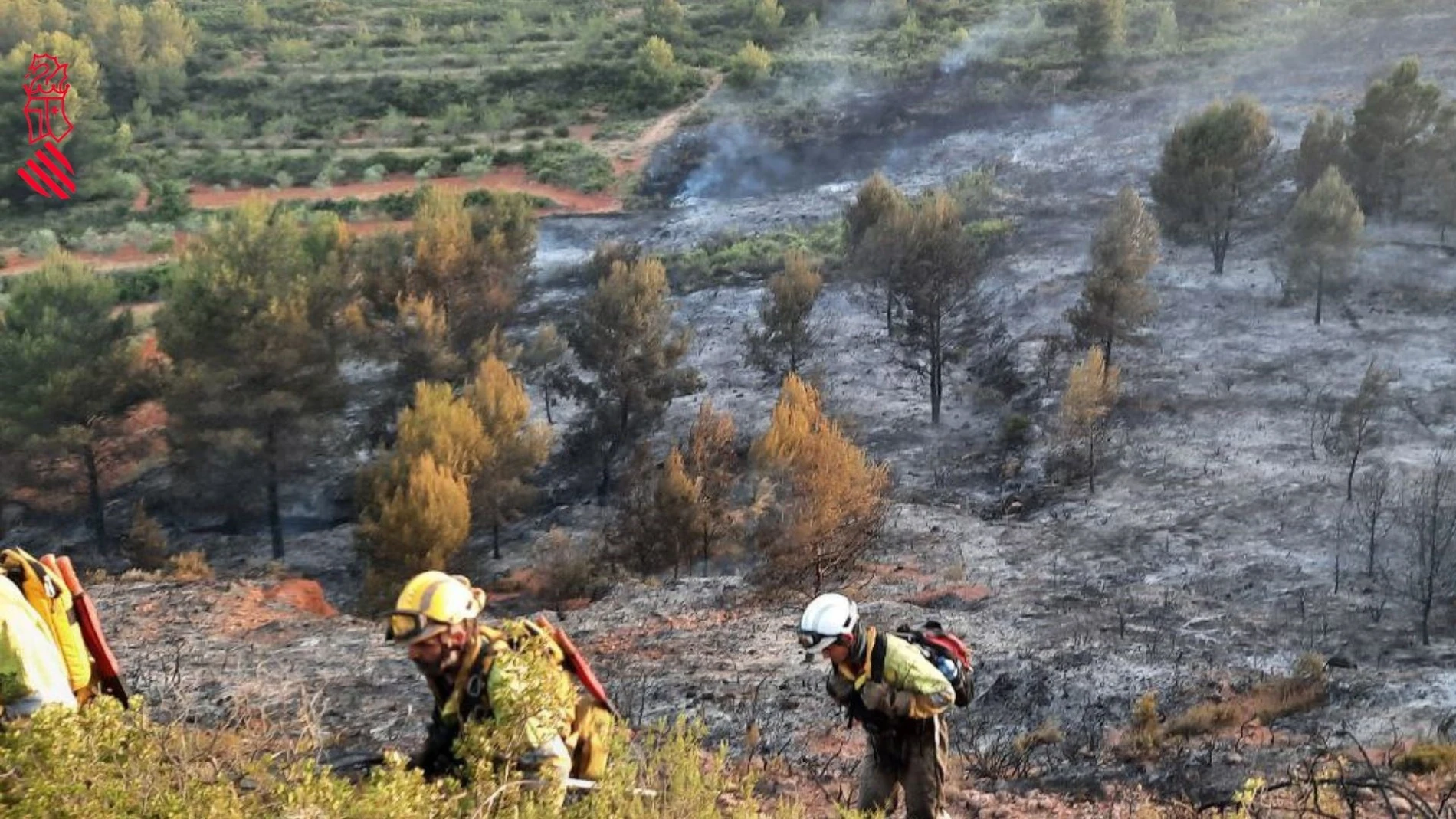 Bomberos forestales en el incendio de Viver y Caudiel