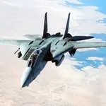 Un F-14 en pleno vuelo