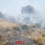El incendio entre Bot y Horta de Sant Joan