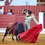  Gines y Téllez conquistan la Puerta Grande en Torrejón