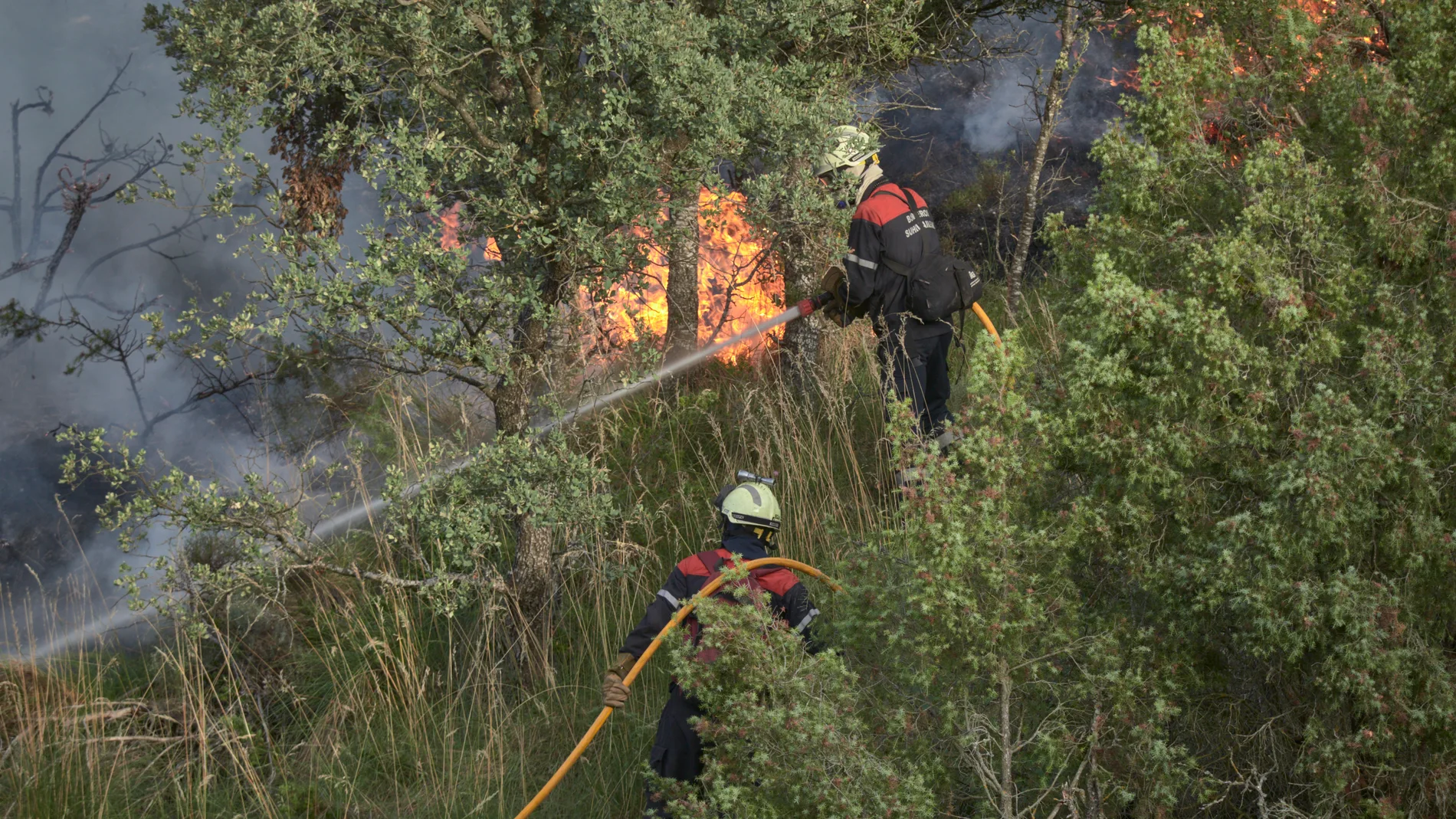 Varios bomberos apagan el fuego que avanza de la zona de Ujué a Maquírriain