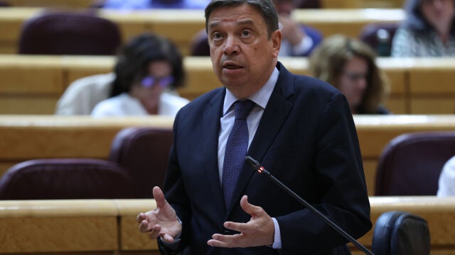 El ministro de Agricultura, Pesca y Alimentación, Luis Planas, interviene durante la sesión de control al Gobierno, este pasado martes 21 de junio en el Senado