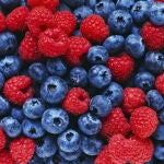 Los frutos rojos(arándanos y frambuesas, entre otros), las verduras, los pescados grasos y los cereales integrales son los principales alimentos de la dieta nórdica.