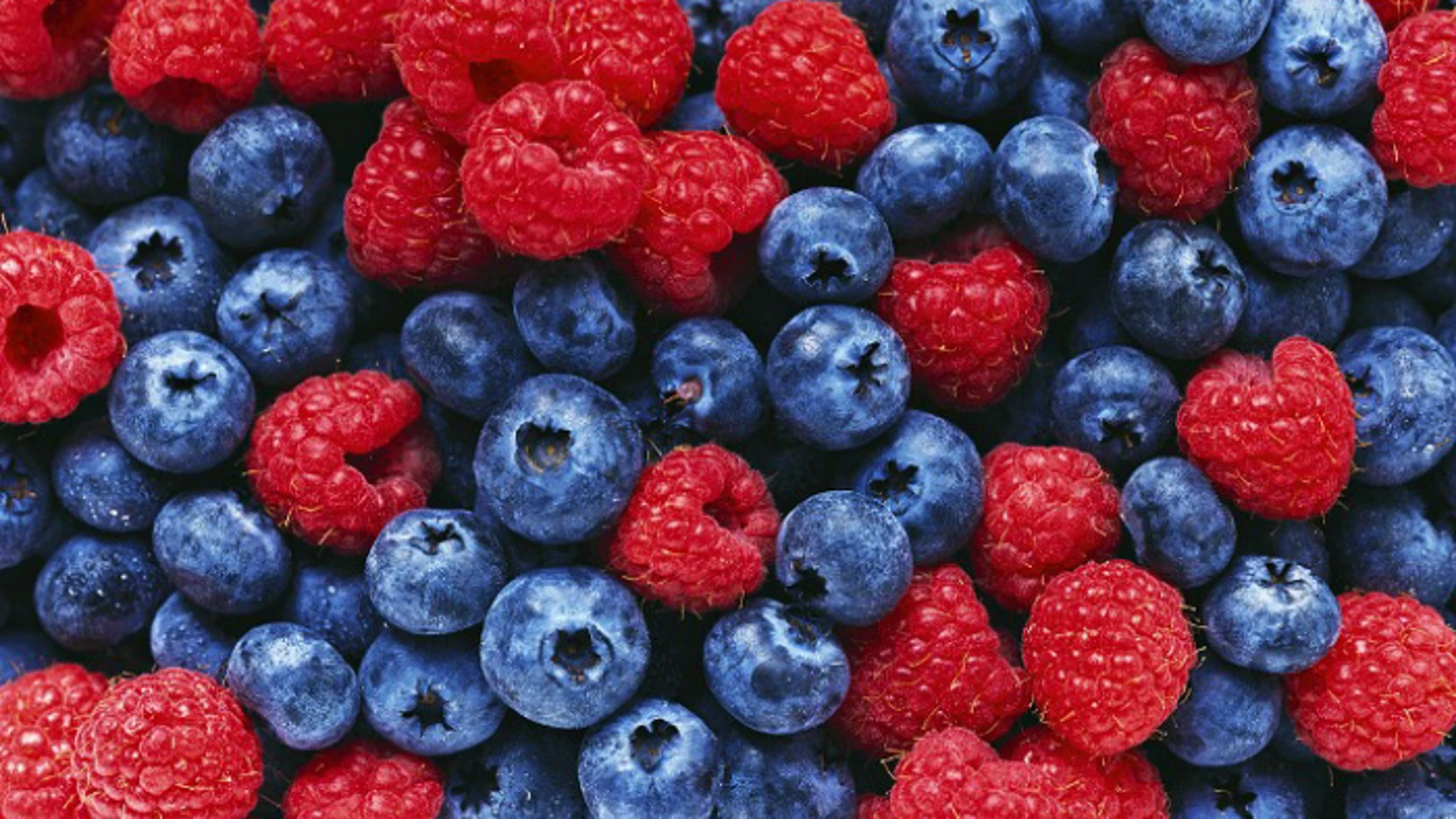 Los frutos rojos(arándanos y frambuesas, entre otros), las verduras, los pescados grasos y los cereales integrales son los principales alimentos de la dieta nórdica.