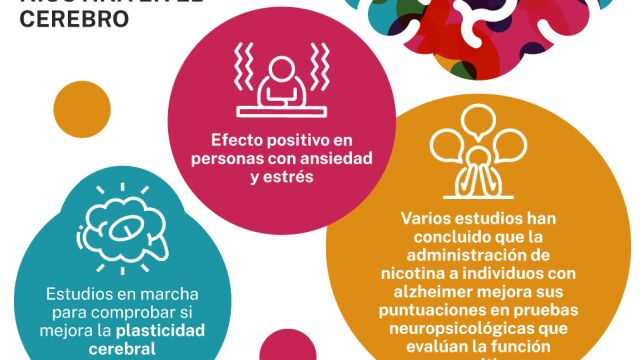 La teparia con nicotina ha mostrado utilidad en reparar determinadas funciones del cerebro