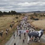 Manifestación contra la macrovaquería de Noviercas (Soria)