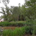 Proyecto Duratón Green Resilience en Peñafiel (Valladolid)