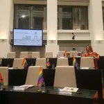 Más Madrid lleva el arcoíris a Cibeles con banderines en los escaños del Pleno y el PSOE chapas con el rostro de Zerolo