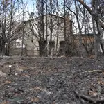 La madera quemada de la Sierra de la Culebra reporta 21 millones de euros