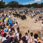 Celebración del Jueves La Saca en Soria dentro de las fiestas de San Juan