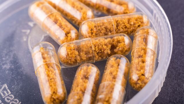 La transferencia de microbiota fecal de una persona sana a un paciente con una enfermedad intestinal se hace para restaurar la flora intestinal