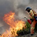 El regimen de incendios del continente europeo ha experimentado un cambio sin precedentes