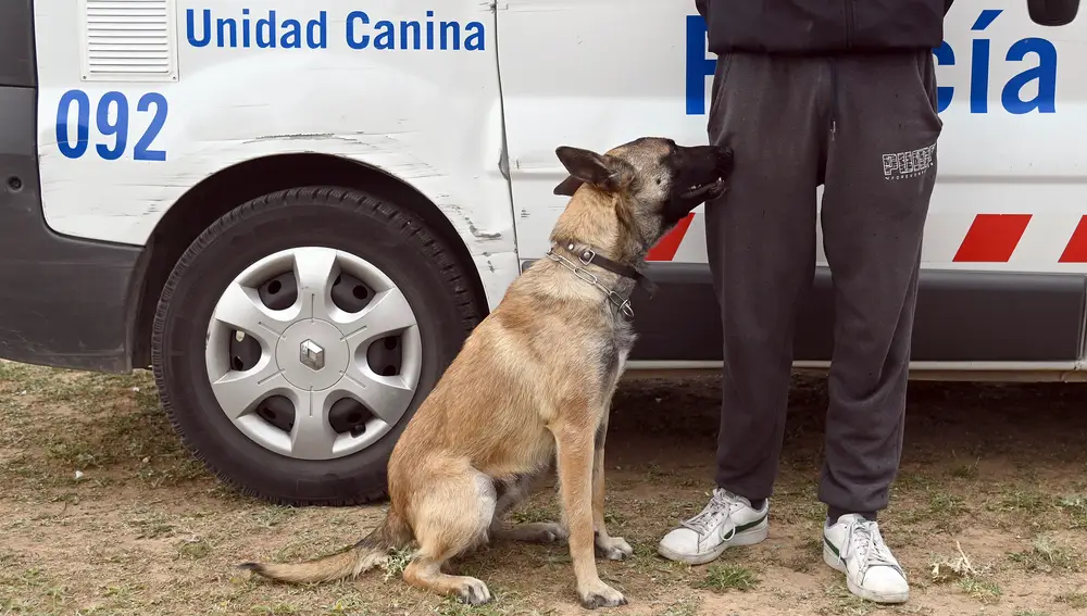 Unidad Canina de la Policia Local de Burgos