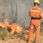 Los bomberos continúan trabajando en el incendio forestal de Venta del Moro