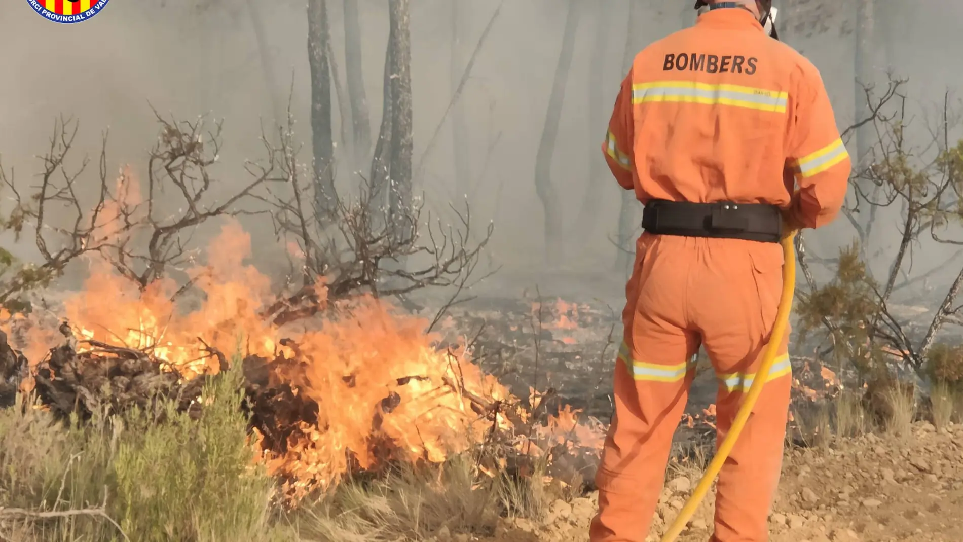 Los bomberos continúan trabajando en el incendio forestal de Venta del Moro