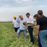 El consejero Antonio Luengo, durante su visita a una explotación de melones de la firma ‘El Monarca’.