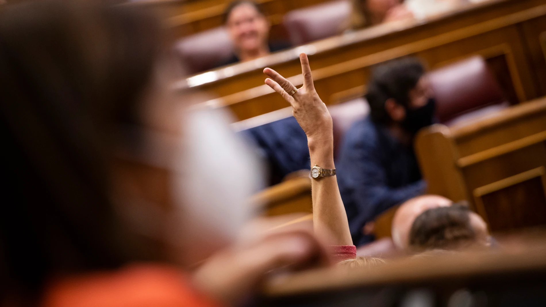 El Congreso celebra hoy el primer pleno del nuevo periodo de sesiones