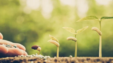 Los fertilizantes minerales fueron los protagonistas de la llamada revolución verde y el aumento de la productividad del campo
