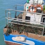 Un barco atraca en el puerto de Conil con las redes llenas de algas